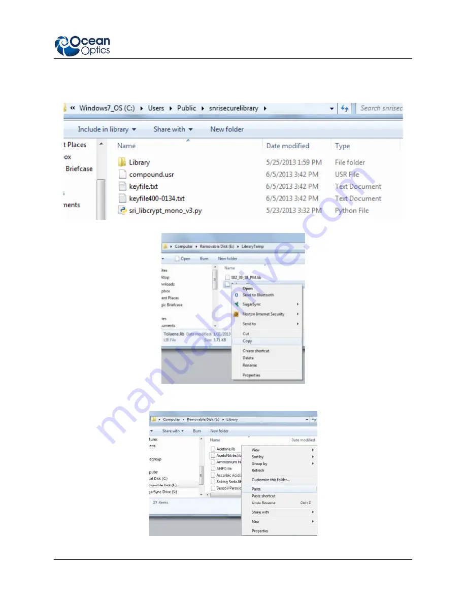 Ocean Optics IDRaman mini Installation And Operation Manual Download Page 33