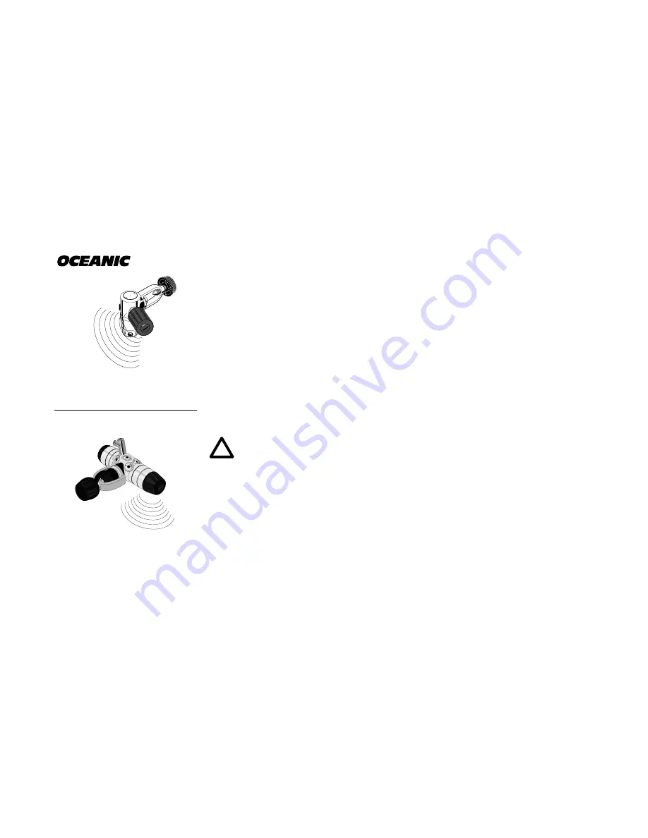 Oceanic DataTrans Plus Owner'S Manual Download Page 38