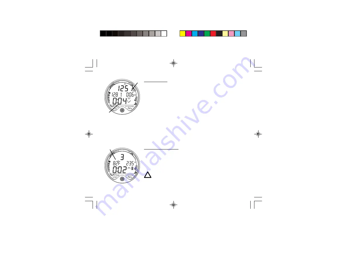 Oceanic Personal Dive Computer Veo 100Nx Operating Manual Download Page 12