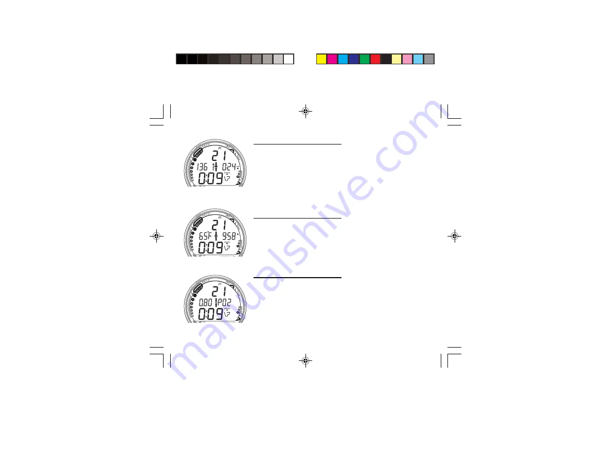 Oceanic Personal Dive Computer Veo 100Nx Operating Manual Download Page 38