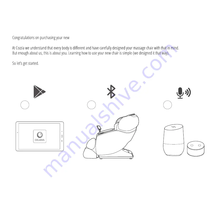 Ogawa OG-8800 User Manual Download Page 2