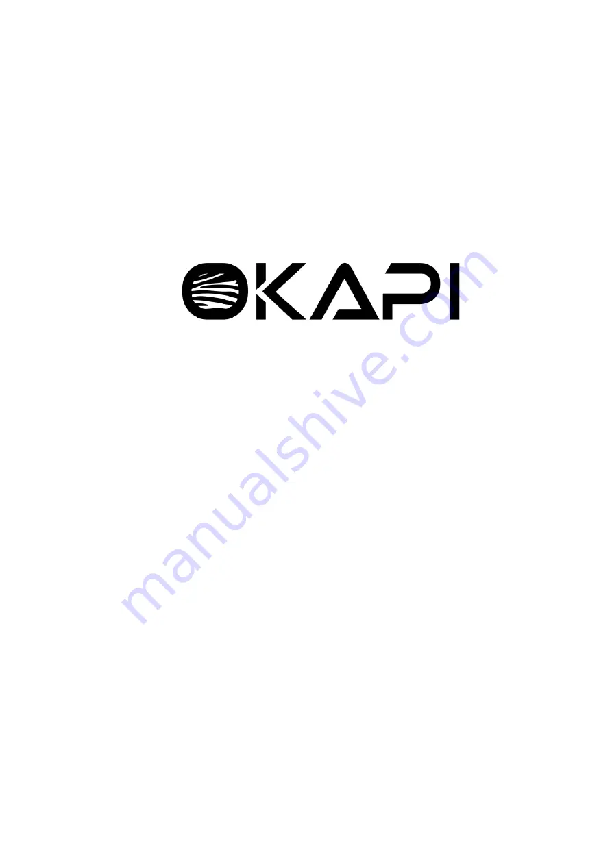 OKAPI Okapi10 Pro Max Manual Download Page 1