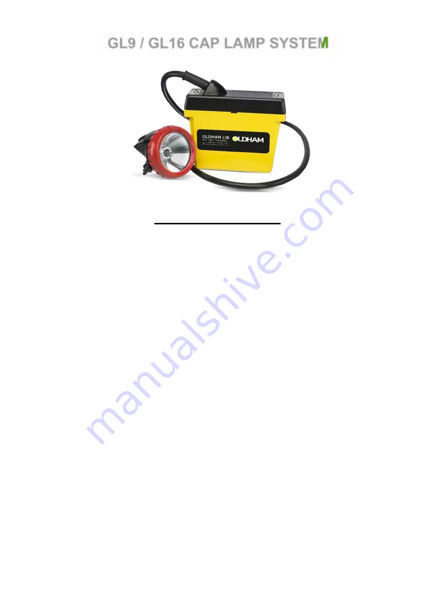 Oldham Denchi Power GL16 Instruction Manual Download Page 2