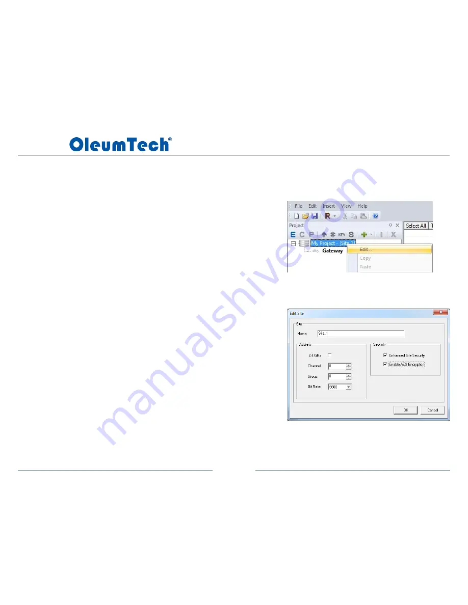 OleumTech WG-0900-DH3 User Manual Download Page 25