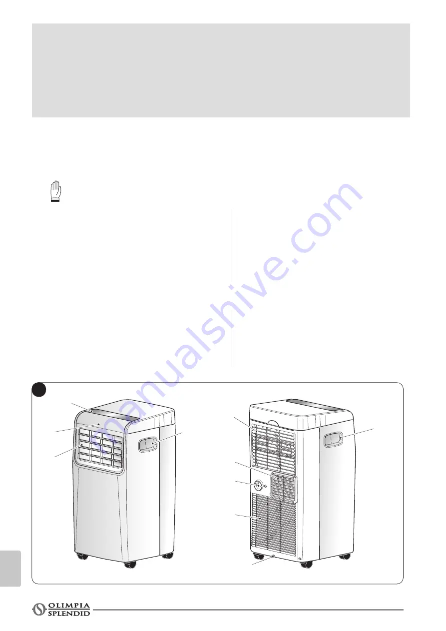 Olimpia splendid DOLCECLIMA Compact M Instructions For Use And Maintenance Manual Download Page 322