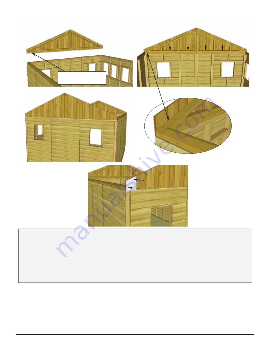 OLT SSGS1216-FJ-Ply Скачать руководство пользователя страница 21