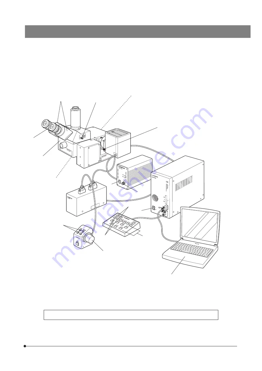 Olympus BXFMA Скачать руководство пользователя страница 13