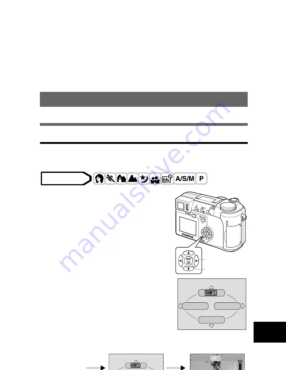 Olympus CAMEDIA C-740 Ultra Zoom Reference Manual Download Page 136