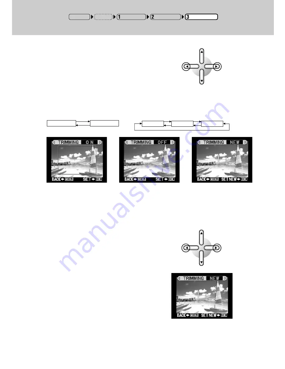 Olympus CAMEDIA P-440 Скачать руководство пользователя страница 87