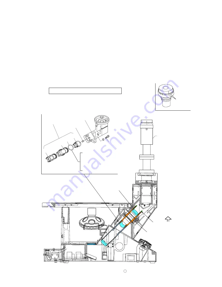 Olympus CKX31 Скачать руководство пользователя страница 39