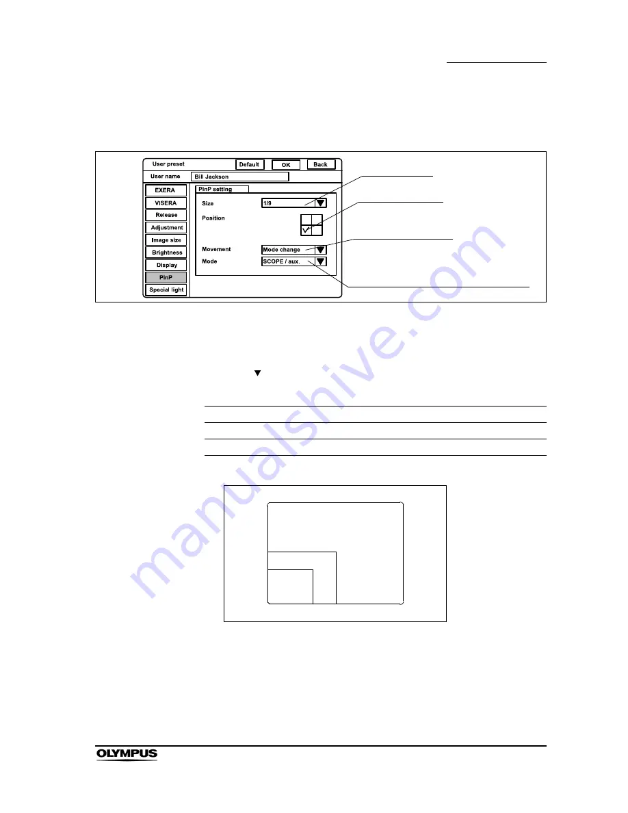 Olympus CV-180 Instructions Manual Download Page 255