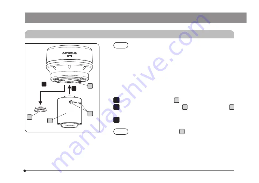 Olympus DP74 Скачать руководство пользователя страница 25