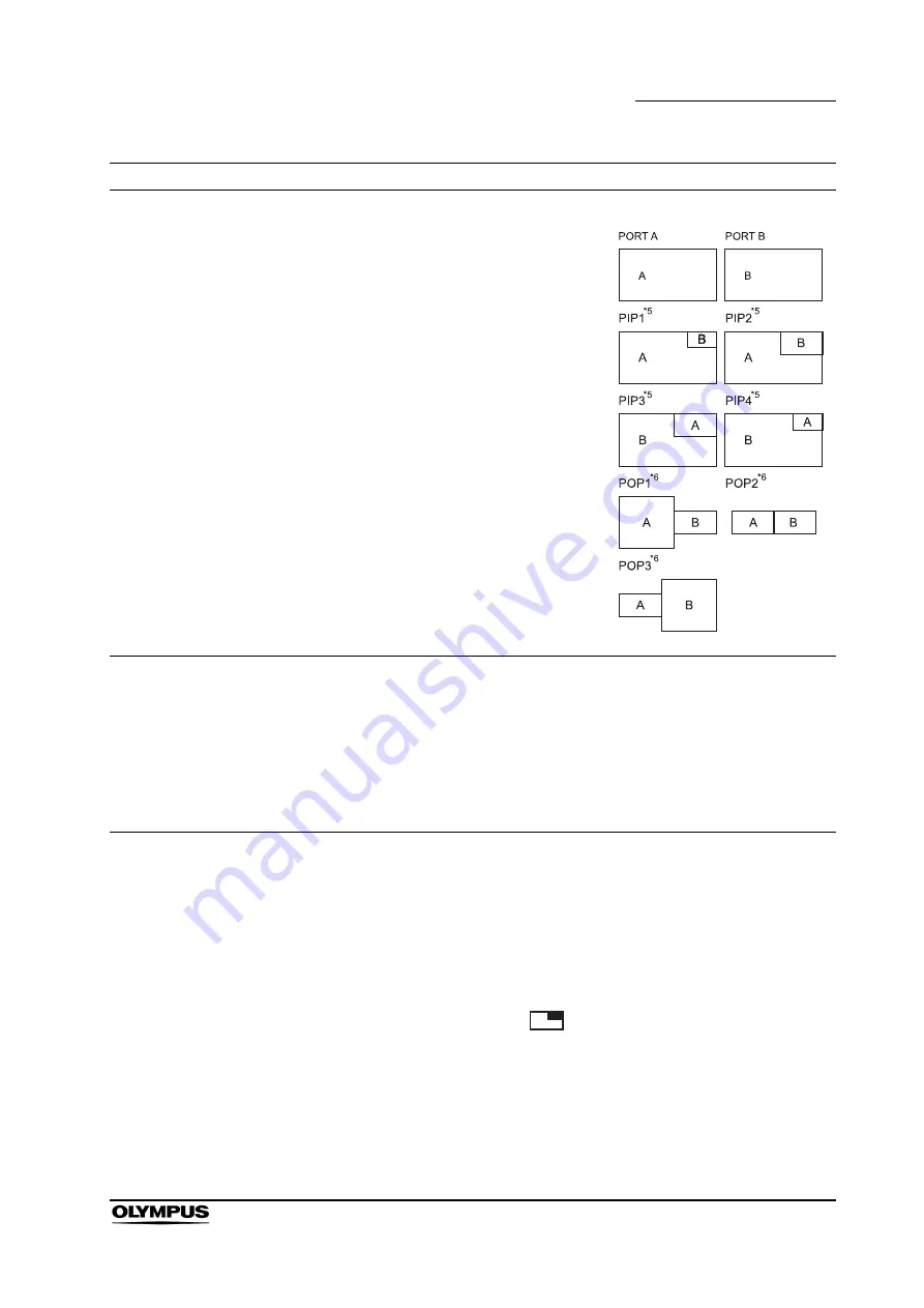 Olympus OEV261H Instructions Manual Download Page 73