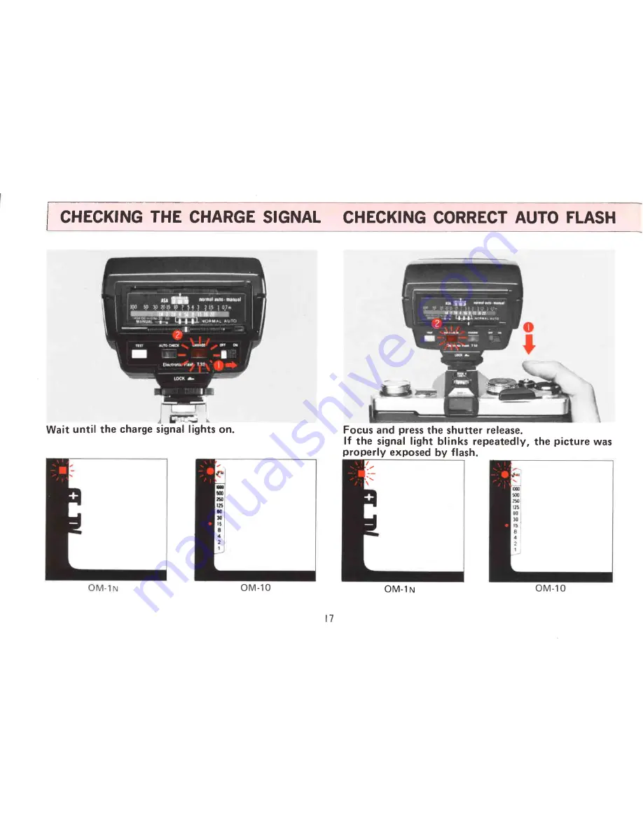 Olympus T32 Operating Instructions Manual Download Page 19