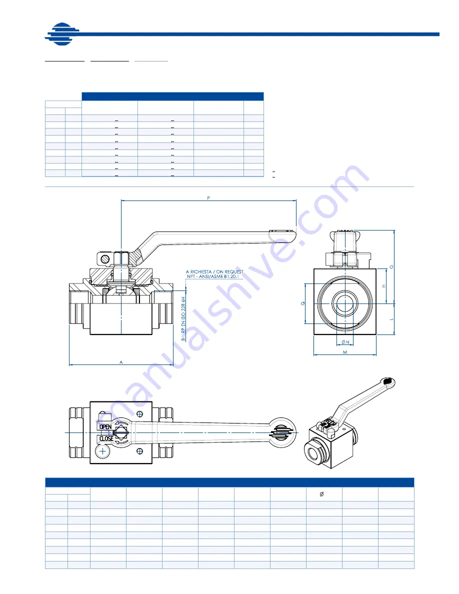 OMAL S.p.A HERCULES Manual Download Page 6