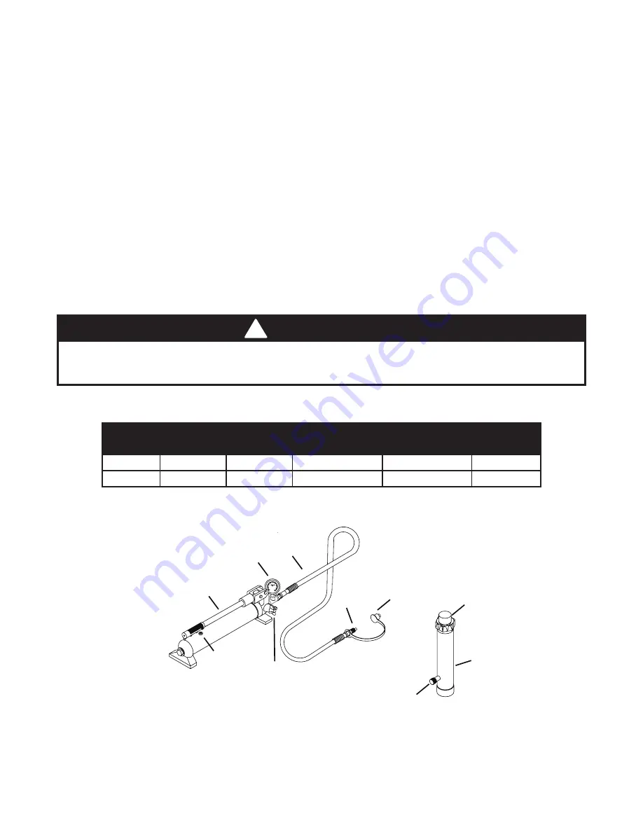 Omega Lift 50040 Скачать руководство пользователя страница 2