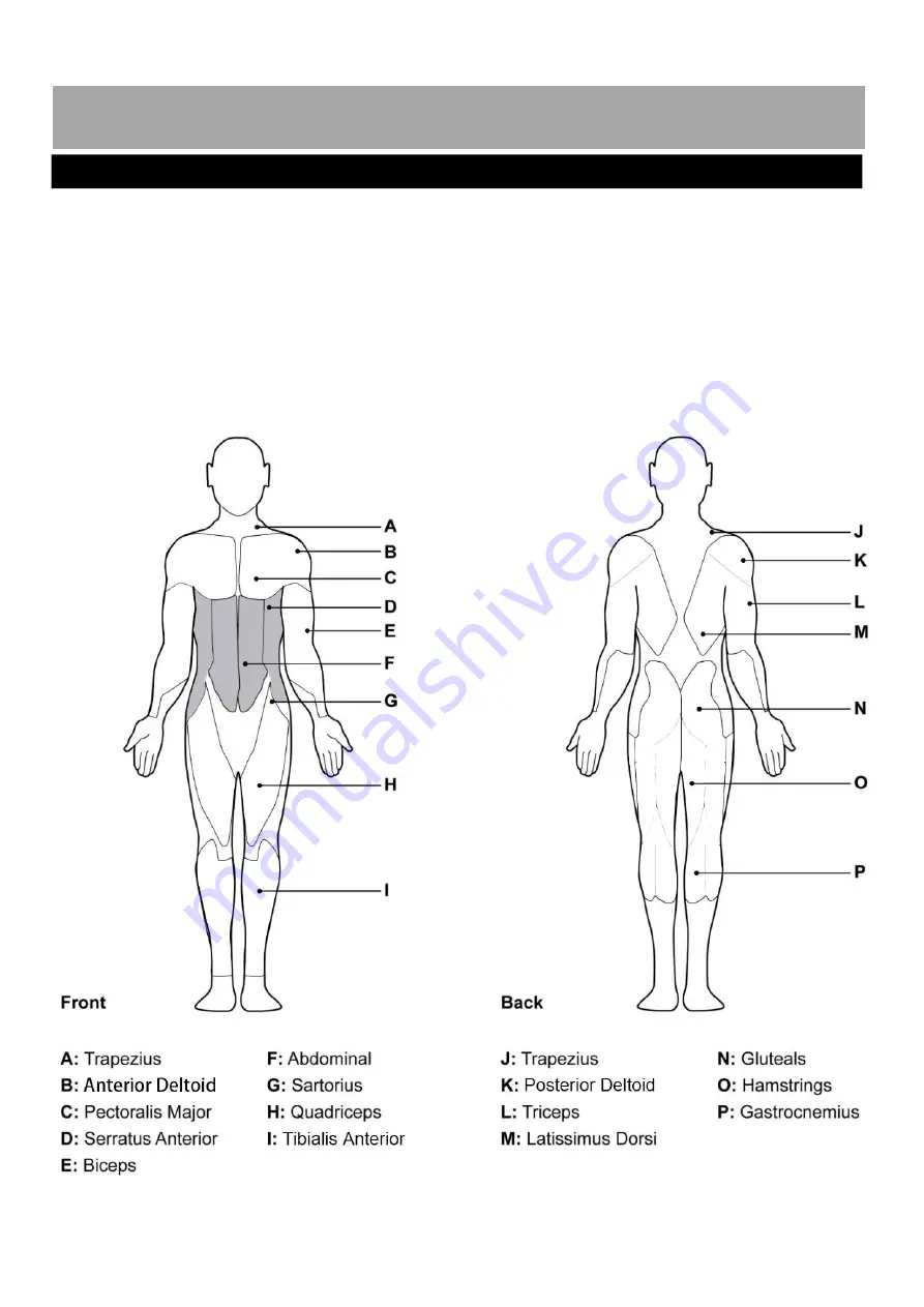 OPTi 616/2629 Assembly & User Instructions Download Page 12