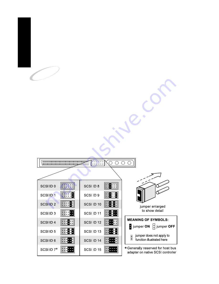 ORB SCSI INTERNAL Скачать руководство пользователя страница 7