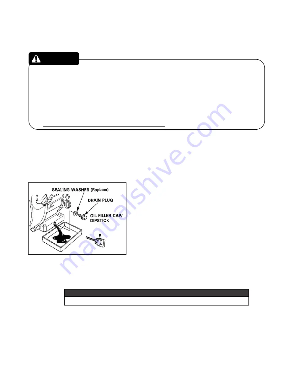 OREC America Snow Bull SGW803 Owner'S Manual Download Page 21