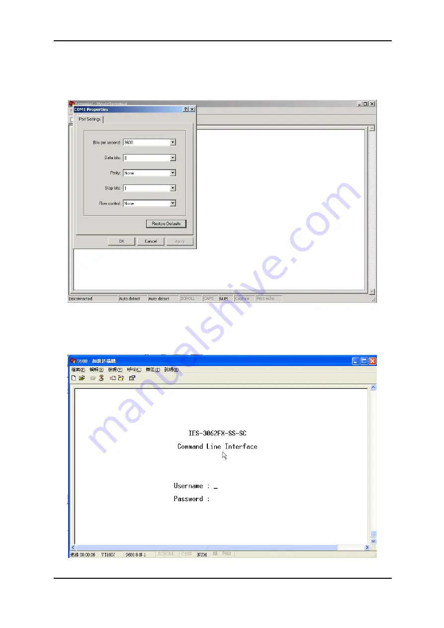 ORiNG IES-3062 Series Скачать руководство пользователя страница 83