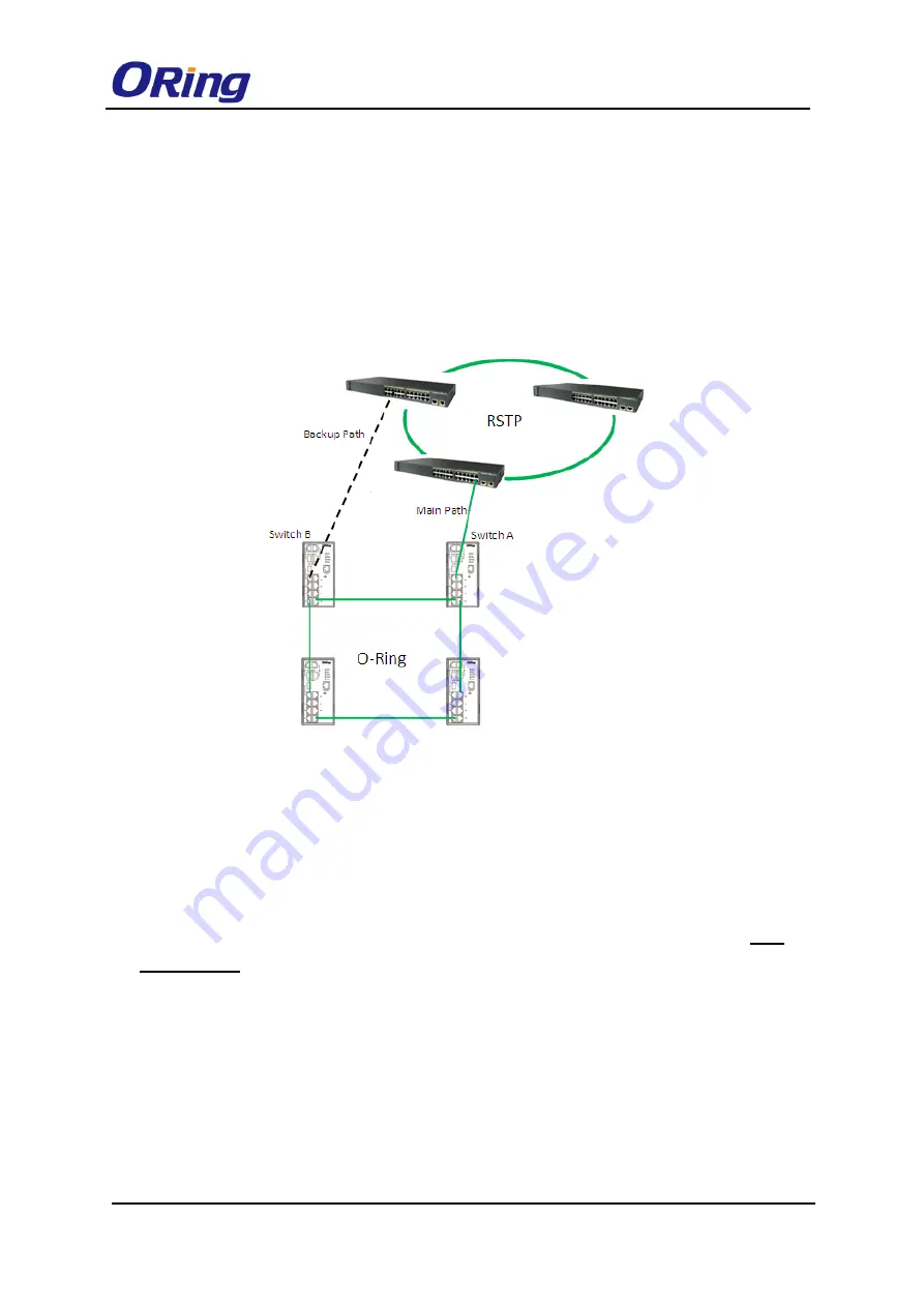 ORiNG TES-3080-M12 Series User Manual Download Page 16