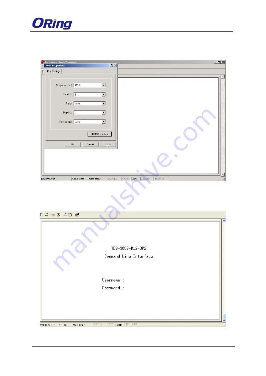 ORiNG TES-3080-M12 Series User Manual Download Page 87