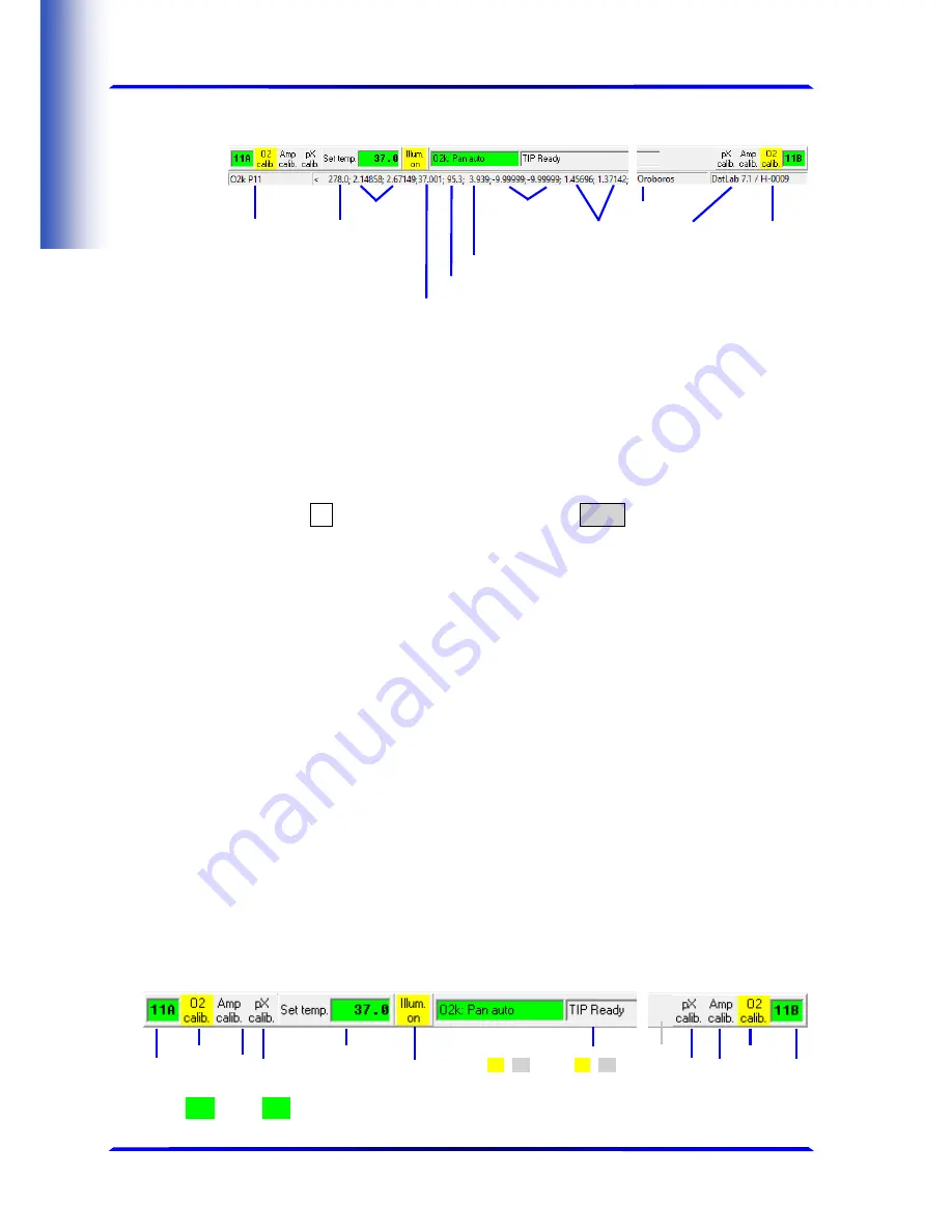 Oroboros Instruments O2k-FluoRespirometer Manual Download Page 12