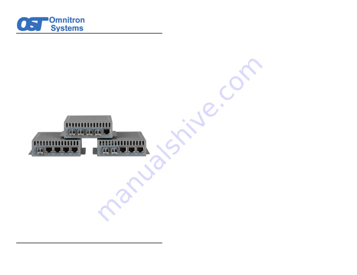 OST iConverter 5 Port GM4 Скачать руководство пользователя страница 1