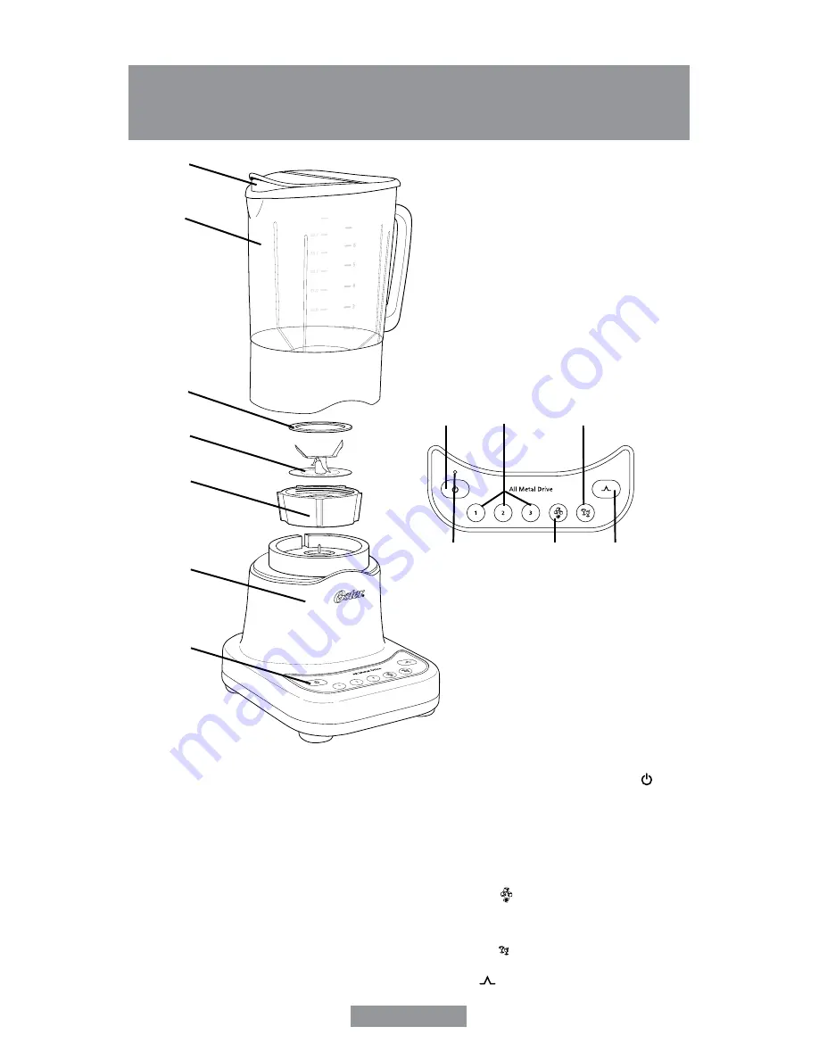 Oster BLSTDG-W00 Instruction Manual Download Page 29