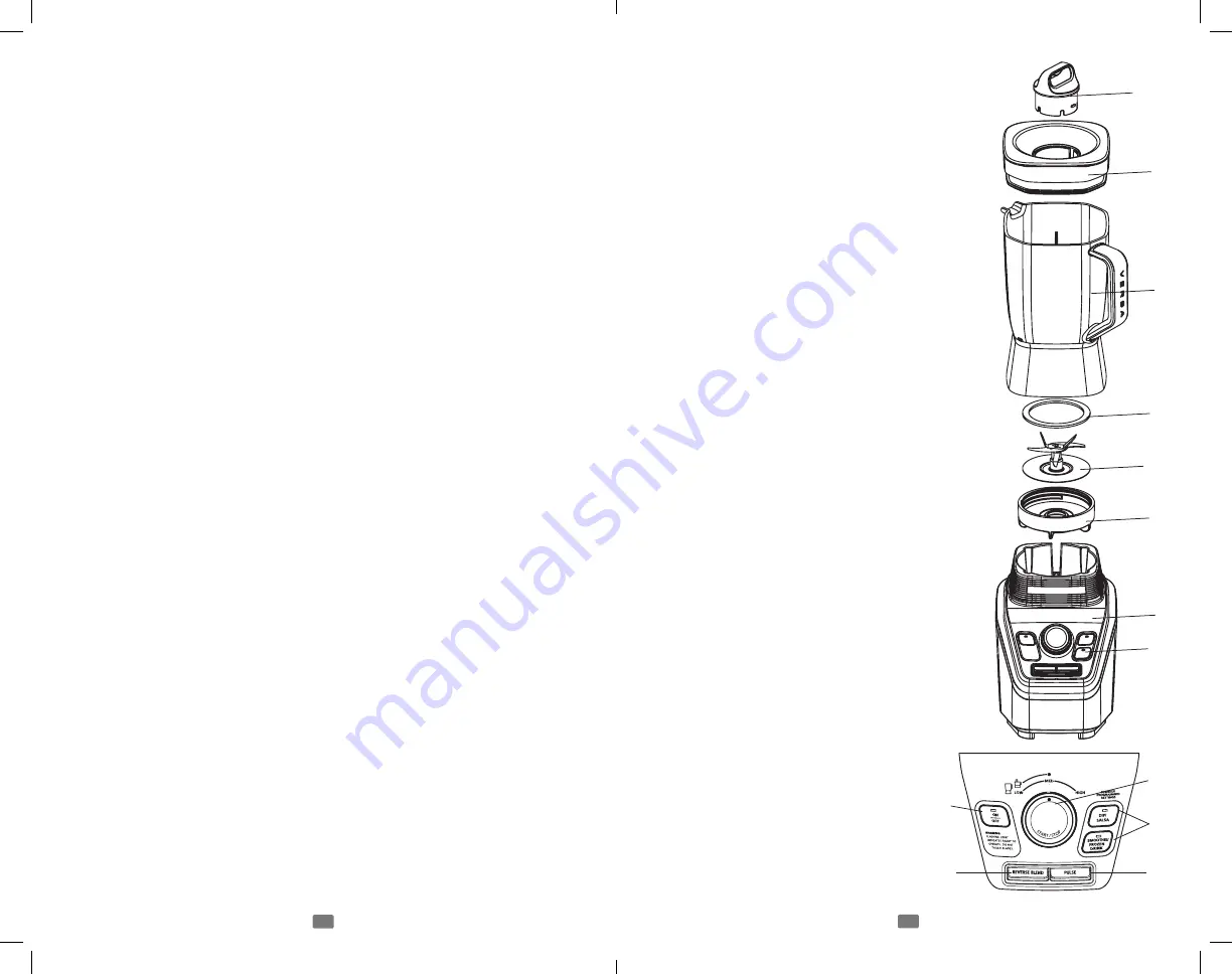 Oster Versa BLSTVB-103 User Manual Download Page 13