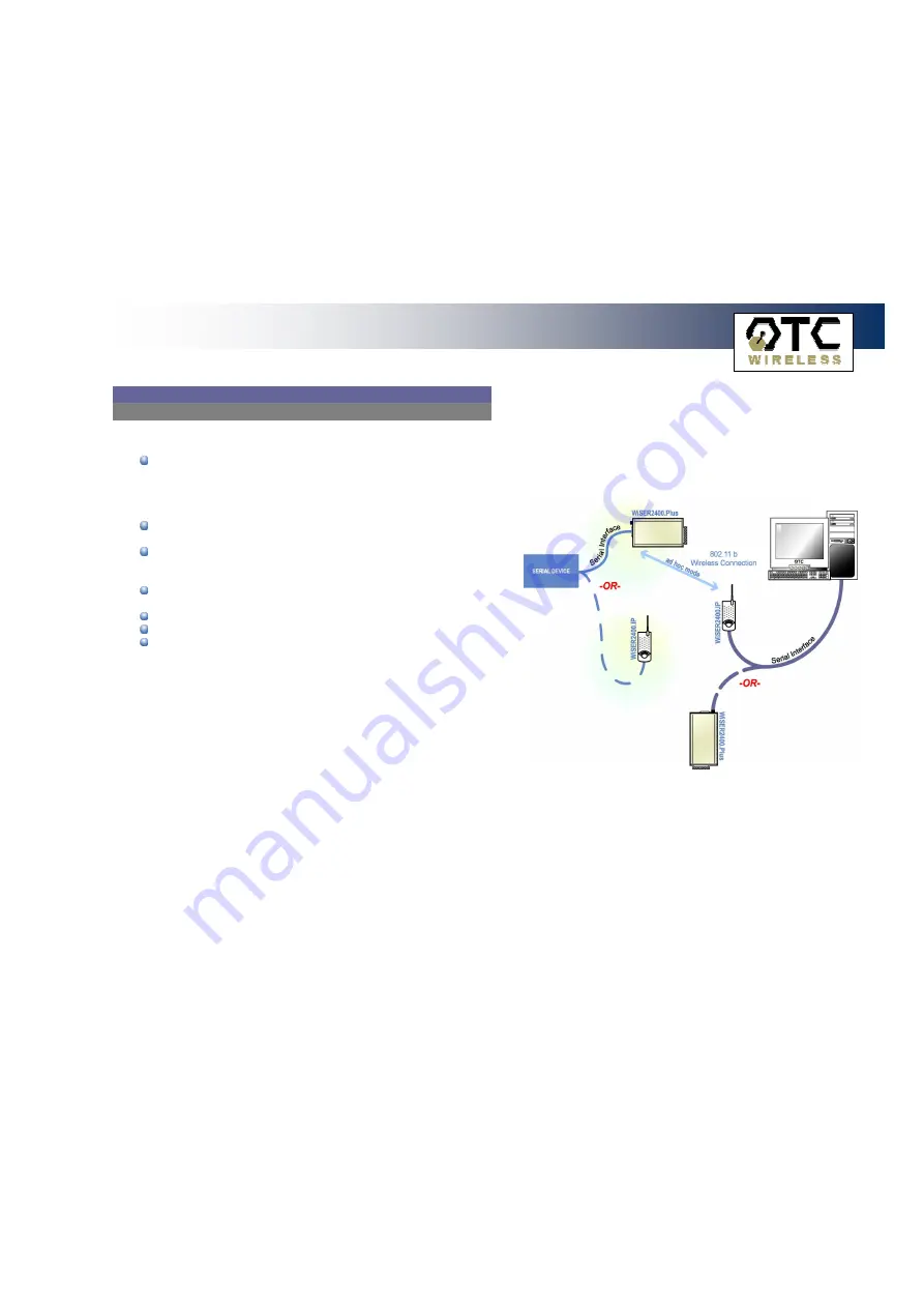 OTC Wireless 802.11 Wireless Serial Solutions WiSER2400.IP Скачать руководство пользователя страница 12