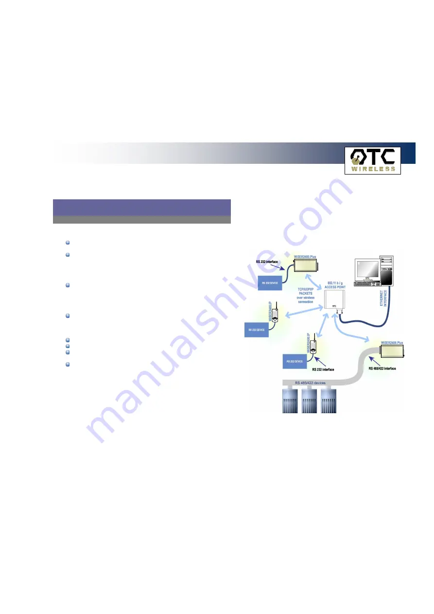 OTC Wireless 802.11 Wireless Serial Solutions WiSER2400.IP Скачать руководство пользователя страница 14