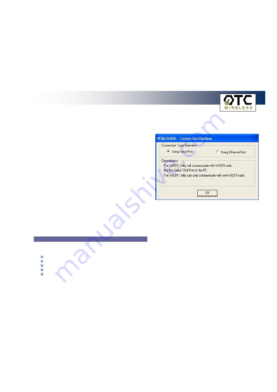 OTC Wireless 802.11 Wireless Serial Solutions WiSER2400.IP Скачать руководство пользователя страница 18