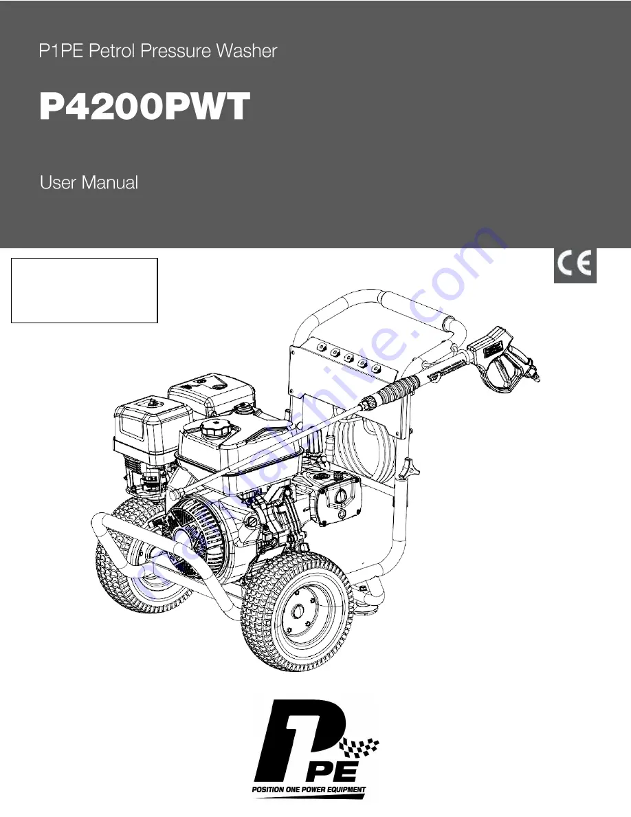 P1PE P4200PWT Скачать руководство пользователя страница 1