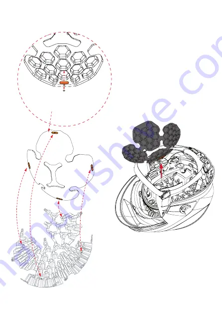 Pacific Helmets HALOFLEX F20H User'S Information Manual Download Page 17