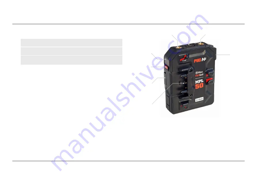 PAG Mini PAGlink MPL50 User Manual Download Page 4