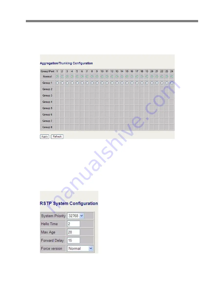 Pakedge Device & Software SW24-GBP Скачать руководство пользователя страница 21