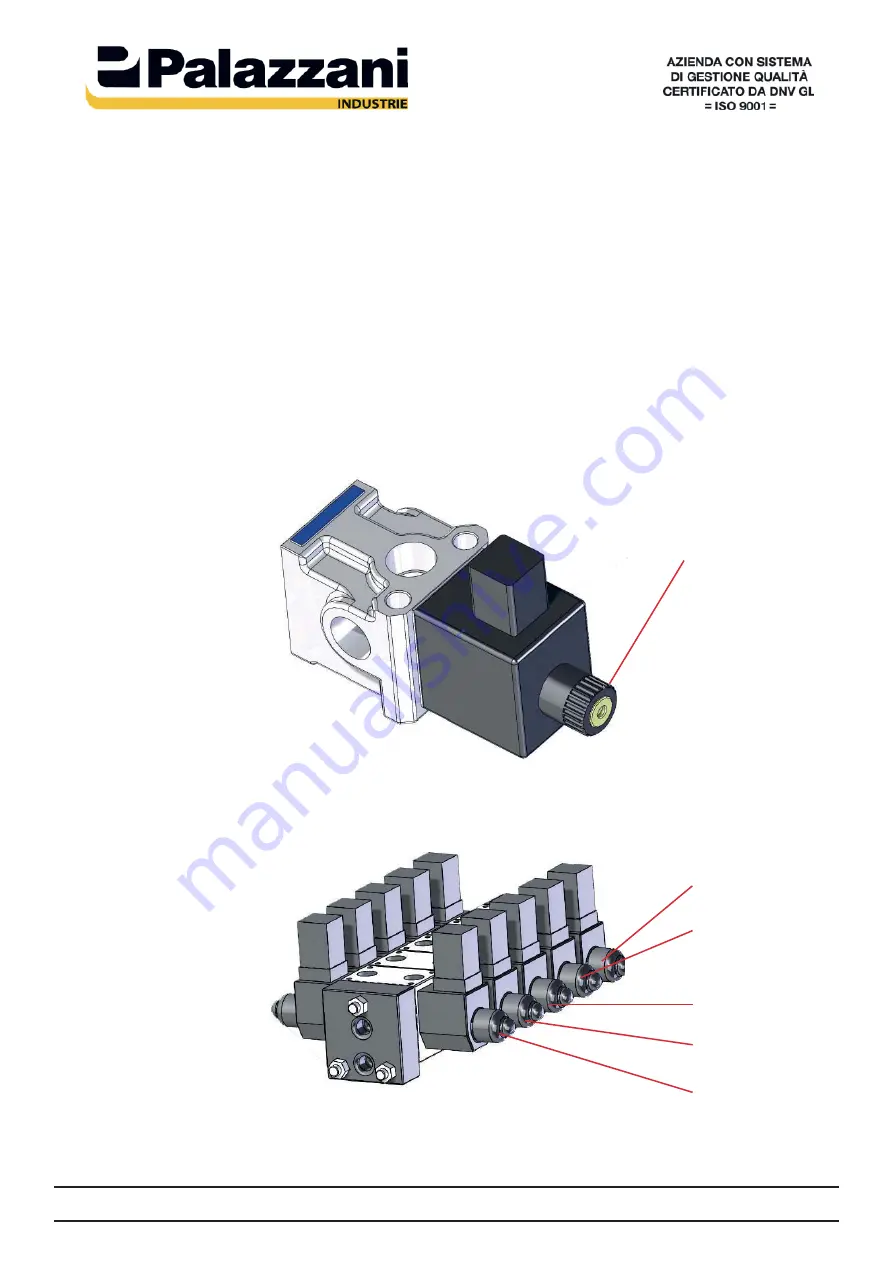 PALAZZANI RAGNO TSJ 30.1 Operation And Safety Manual Download Page 89