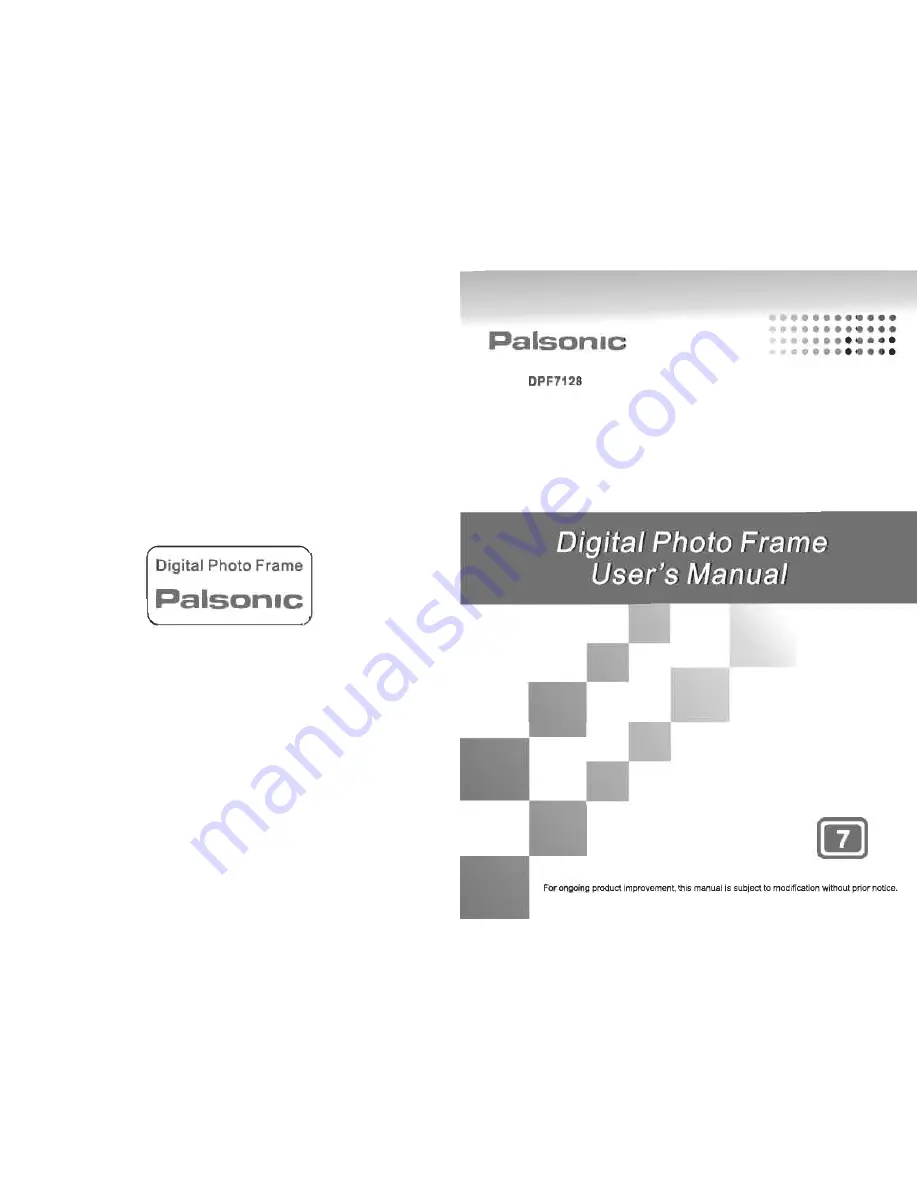 Palsonic DPF7128 User Manual Download Page 1