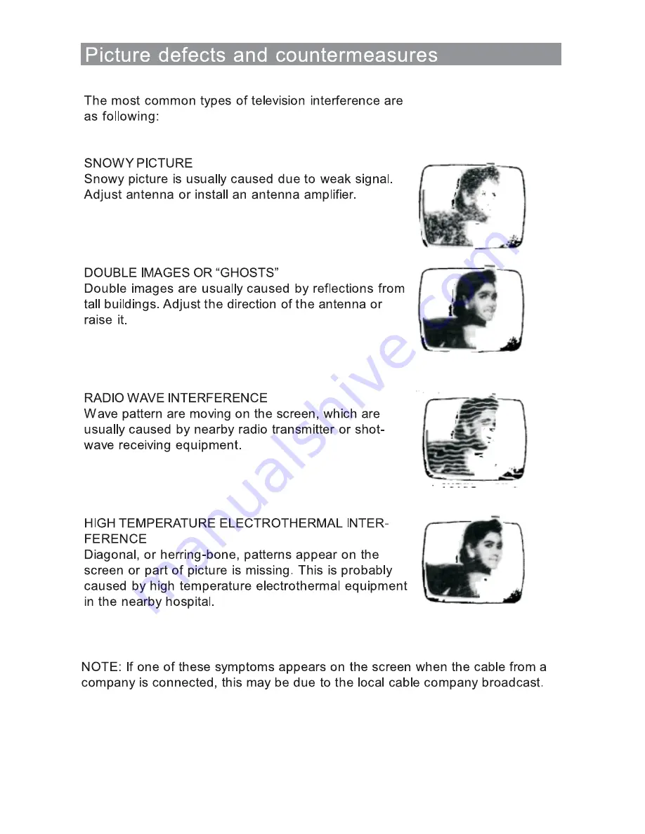 Palsonic TFTV3955MW User Manual Download Page 21