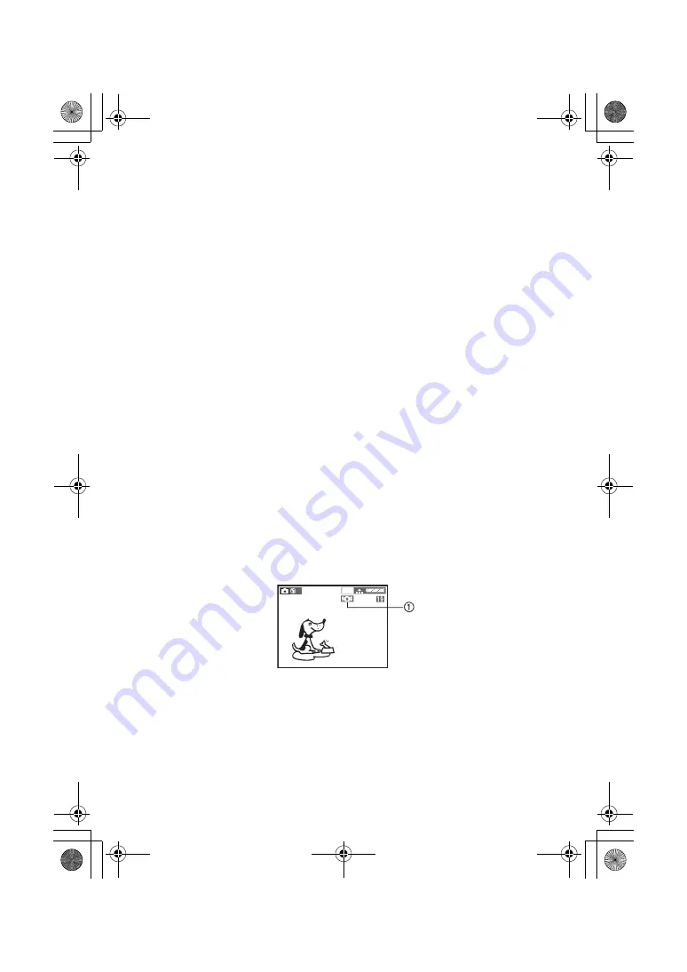 Panasonic DMC-FZ1PP Скачать руководство пользователя страница 29