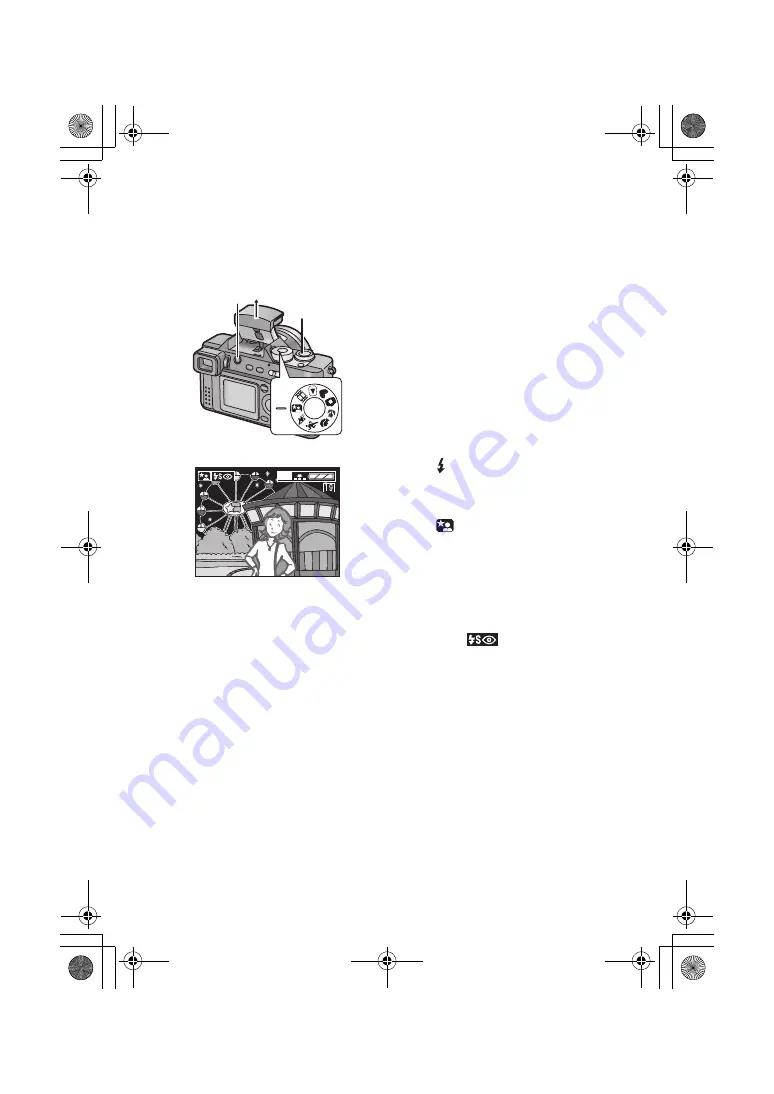 Panasonic DMC-FZ1PP Operating Instructions Manual Download Page 48