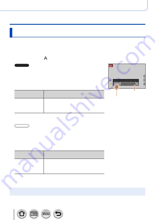 Panasonic DMC-ZS110 Operating Instructions For Advanced Features Download Page 101