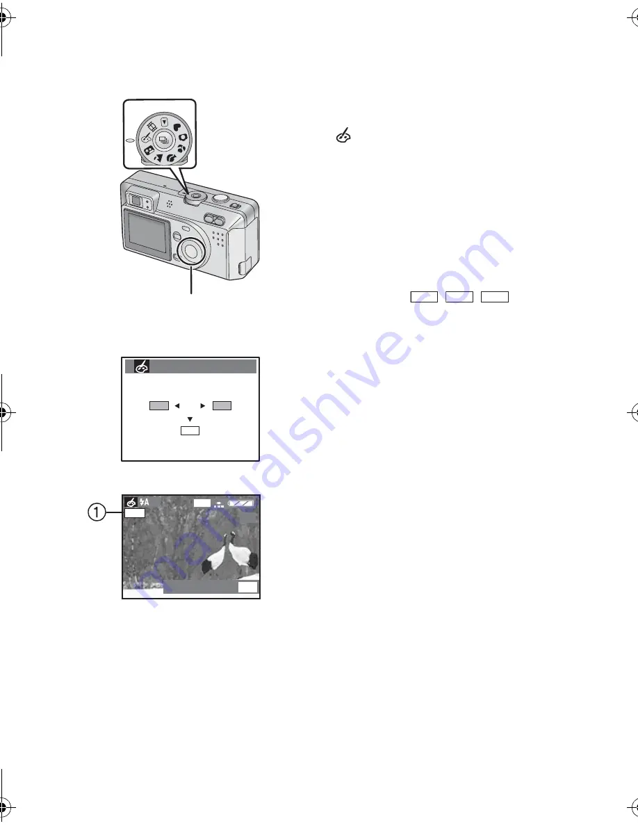 Panasonic Lumix DMC-F1 Operating Instructions Manual Download Page 43