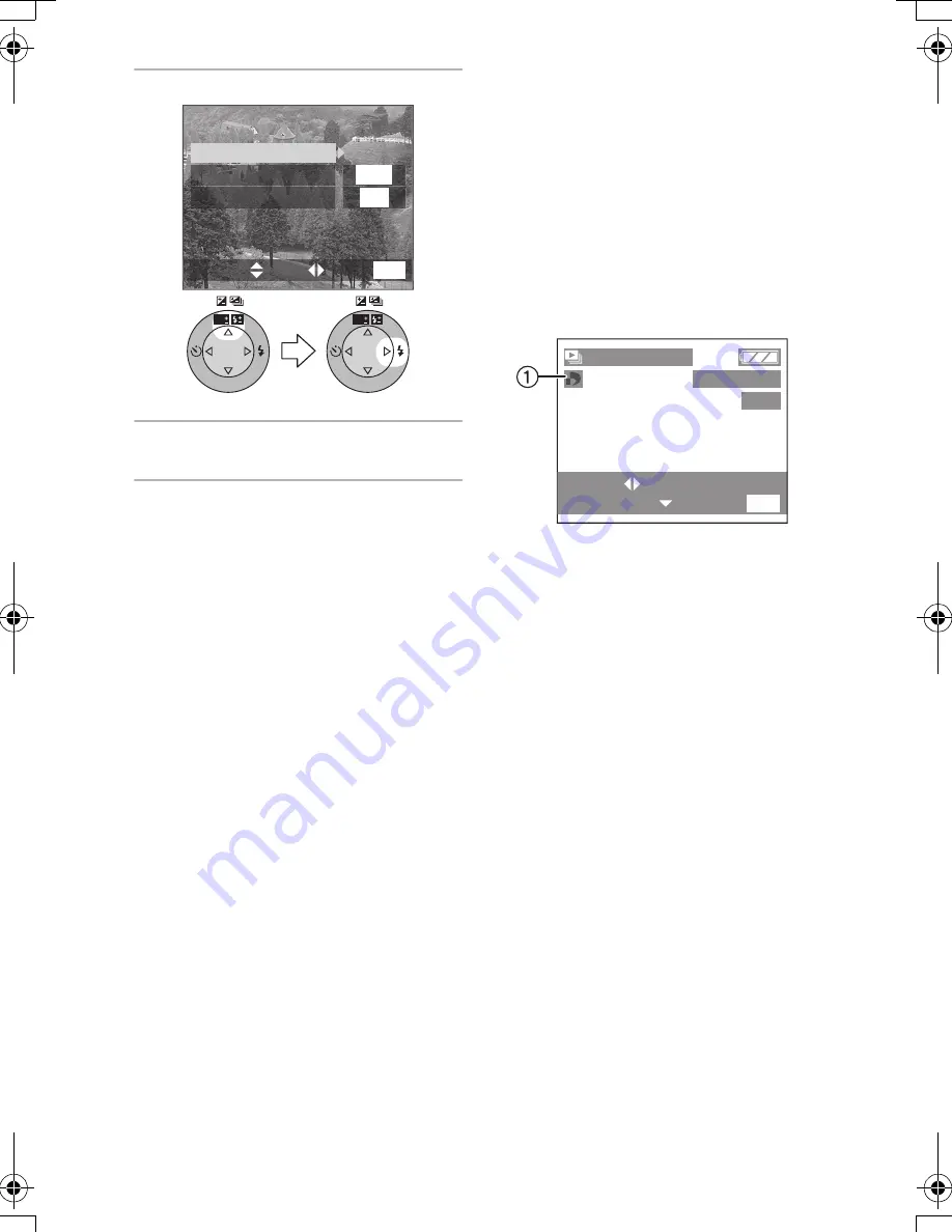 Panasonic Lumix DMC-FZ10 Operating Instructions Manual Download Page 99