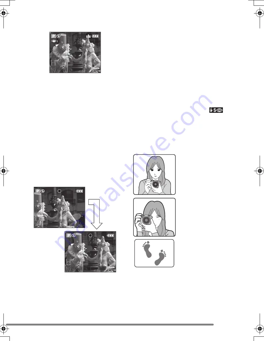 Panasonic Lumix DMC-FZ3GN Operating Instructions Manual Download Page 31