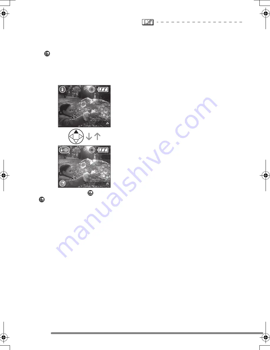 Panasonic Lumix DMC-FZ3GN Operating Instructions Manual Download Page 36