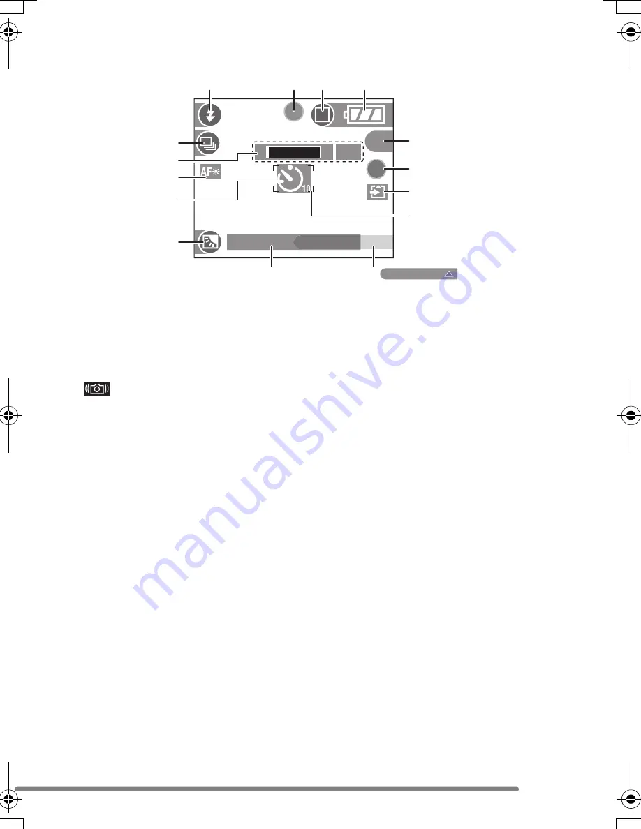 Panasonic Lumix DMC-FZ3GN Operating Instructions Manual Download Page 101