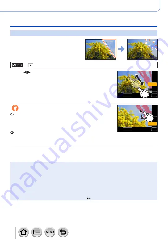 Panasonic LUMIX DMC-LX9 Operating Instructions For Advanced Features Download Page 217