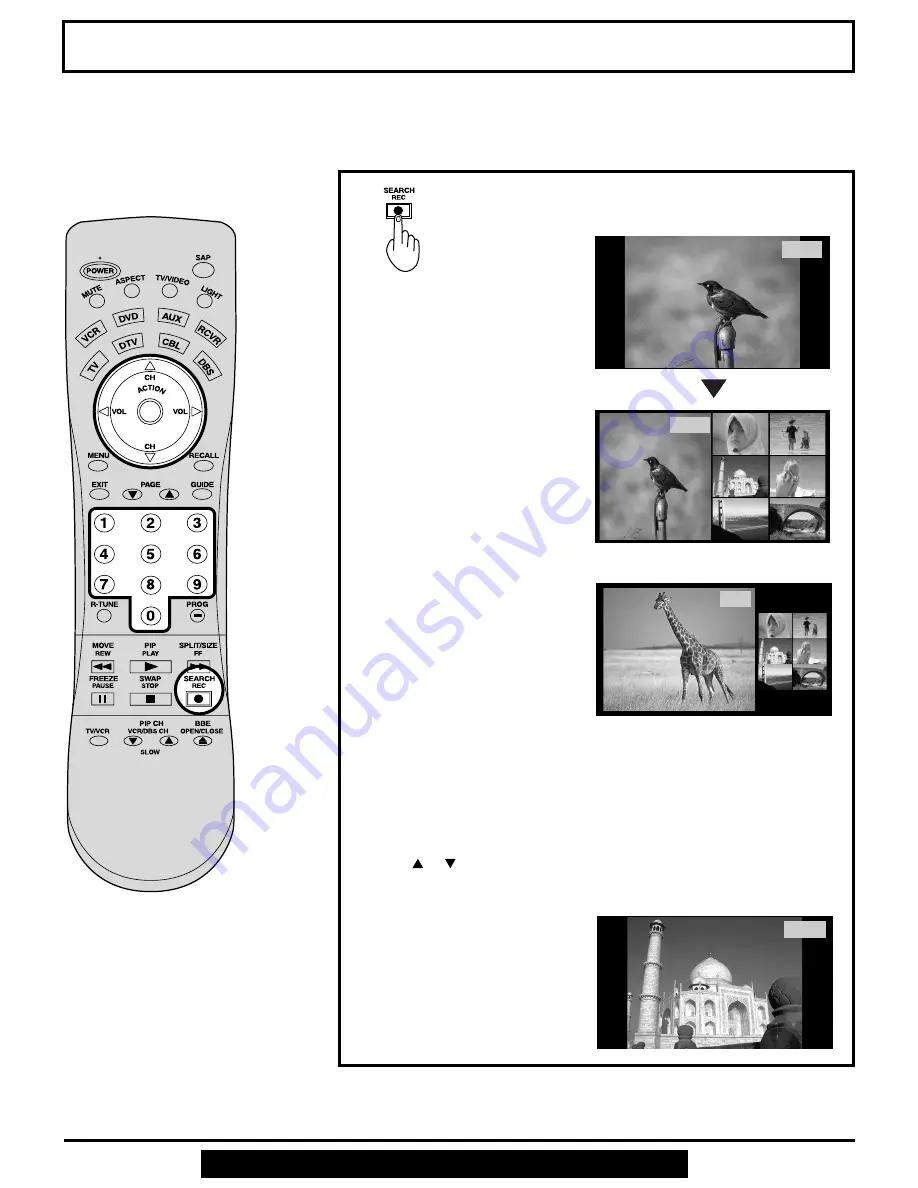 Panasonic PT45LC12 - MULTI-MEDIA DISPLAY Скачать руководство пользователя страница 32